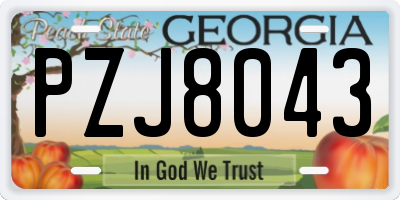 GA license plate PZJ8043
