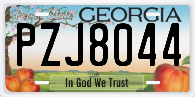 GA license plate PZJ8044
