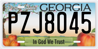 GA license plate PZJ8045