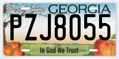GA license plate PZJ8055