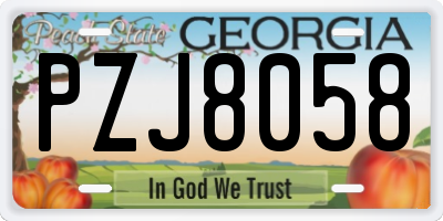 GA license plate PZJ8058