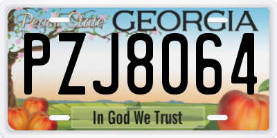 GA license plate PZJ8064