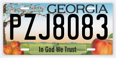 GA license plate PZJ8083