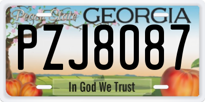GA license plate PZJ8087