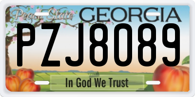 GA license plate PZJ8089