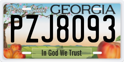 GA license plate PZJ8093