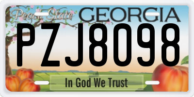GA license plate PZJ8098
