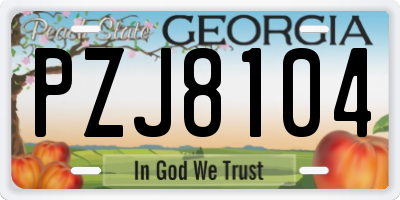 GA license plate PZJ8104