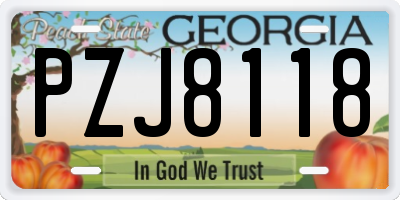 GA license plate PZJ8118