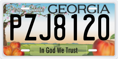 GA license plate PZJ8120