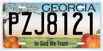 GA license plate PZJ8121