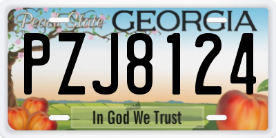 GA license plate PZJ8124