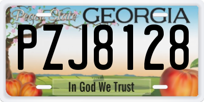 GA license plate PZJ8128