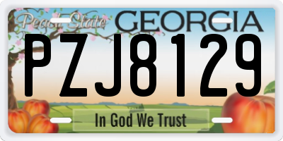 GA license plate PZJ8129