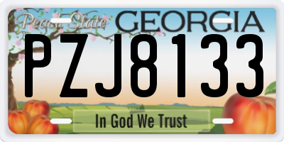 GA license plate PZJ8133