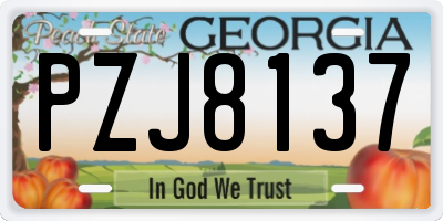 GA license plate PZJ8137