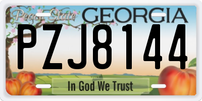 GA license plate PZJ8144