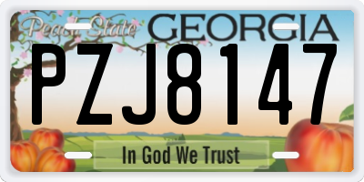 GA license plate PZJ8147