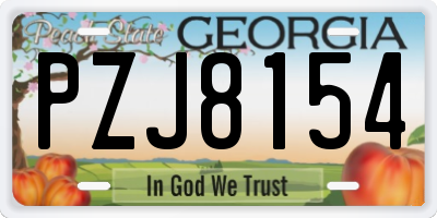 GA license plate PZJ8154