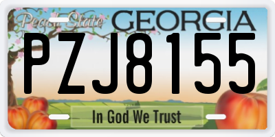 GA license plate PZJ8155