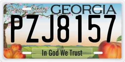 GA license plate PZJ8157