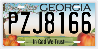GA license plate PZJ8166
