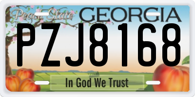 GA license plate PZJ8168