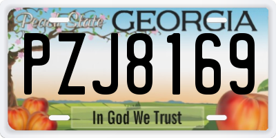 GA license plate PZJ8169