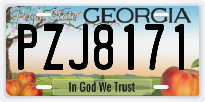 GA license plate PZJ8171