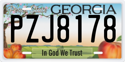 GA license plate PZJ8178