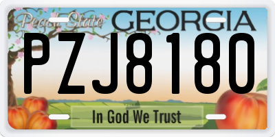 GA license plate PZJ8180
