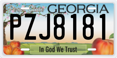 GA license plate PZJ8181