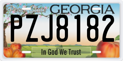GA license plate PZJ8182