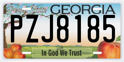 GA license plate PZJ8185