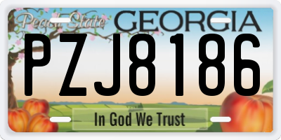 GA license plate PZJ8186