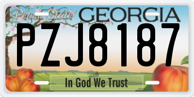 GA license plate PZJ8187