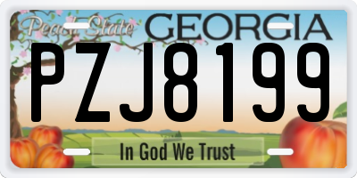 GA license plate PZJ8199