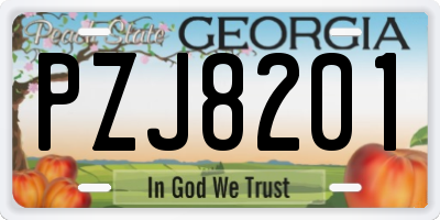 GA license plate PZJ8201