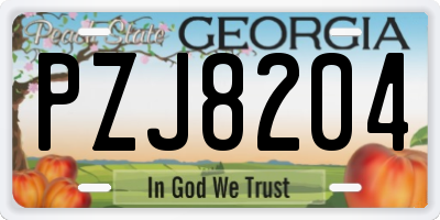 GA license plate PZJ8204