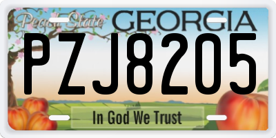 GA license plate PZJ8205