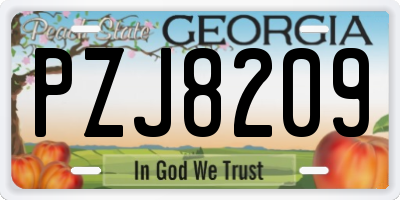 GA license plate PZJ8209