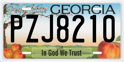 GA license plate PZJ8210