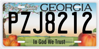 GA license plate PZJ8212