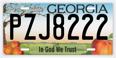 GA license plate PZJ8222