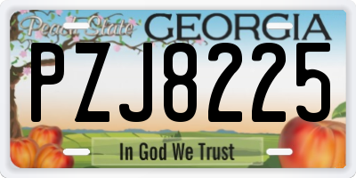 GA license plate PZJ8225