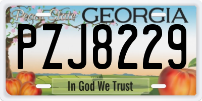 GA license plate PZJ8229