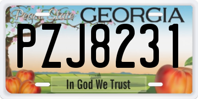 GA license plate PZJ8231