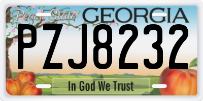 GA license plate PZJ8232