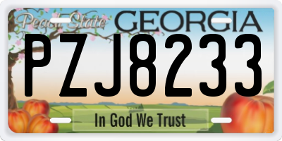 GA license plate PZJ8233