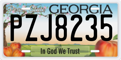 GA license plate PZJ8235